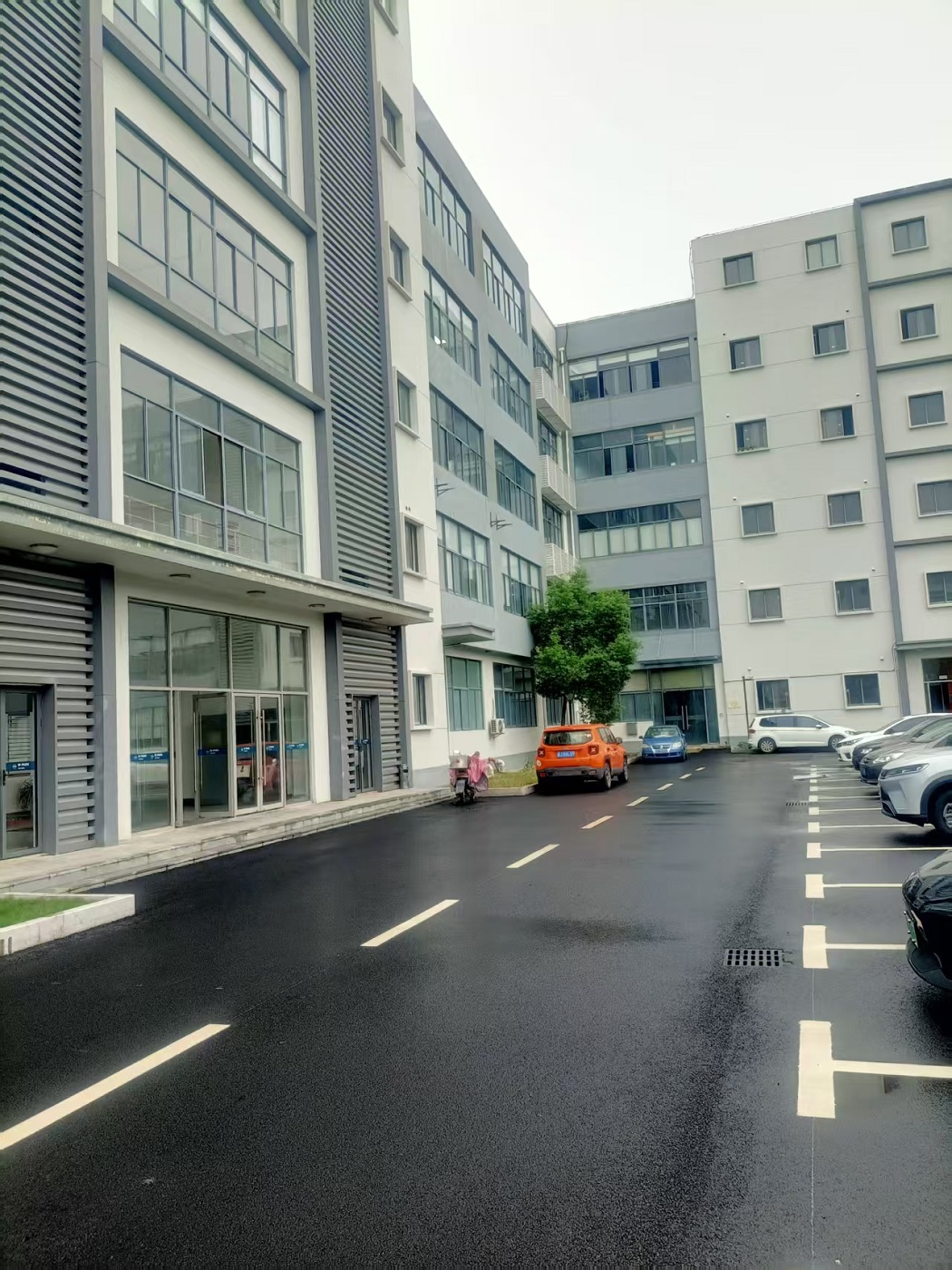 ɽҵռ50Ķ45500ƽףɷֶ